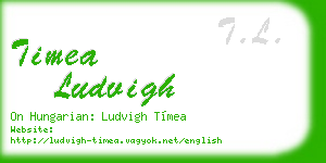 timea ludvigh business card